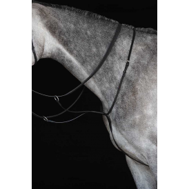 Collegiate Running Martingale IV - Black