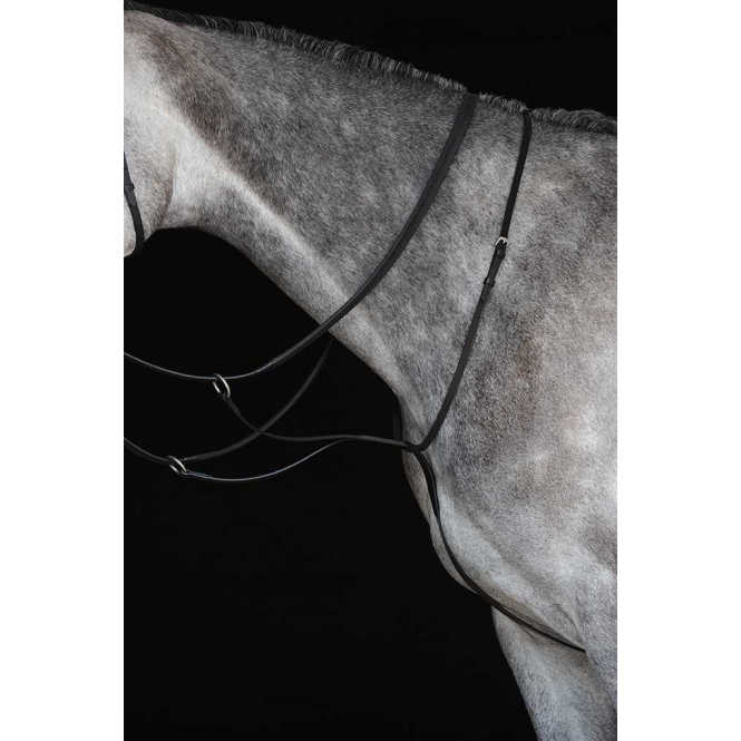 Collegiate  Running Martingale IV - Brown