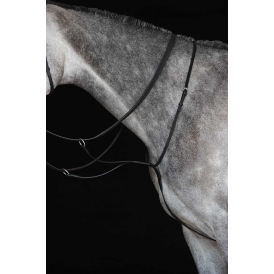 Collegiate Running Martingale IV - Brown