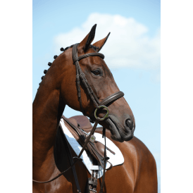 Collegiate Syntovia+ Padded Raised Cavesson Bridle - Brown