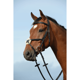 Collegiate Syntovia+ Padded Raised Figure 8 Bridle - Black
