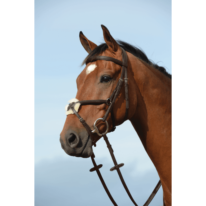 Collegiate  Syntovia+ Padded Raised Figure 8 Bridle - Brown