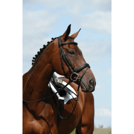 Collegiate Syntovia+ Padded Raised Flash Bridle - Black