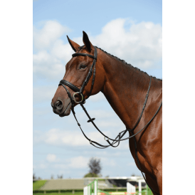 Collegiate Syntovia+ Plain Flat Running Martingale - Black