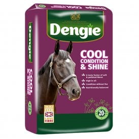 Dengie Cool, Condition and Shine