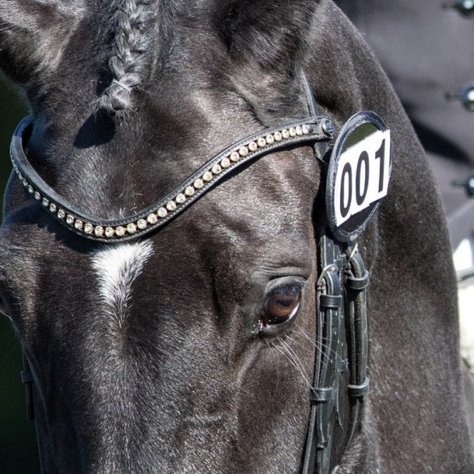 Equetech  Bridle Number Holder - Black Patent