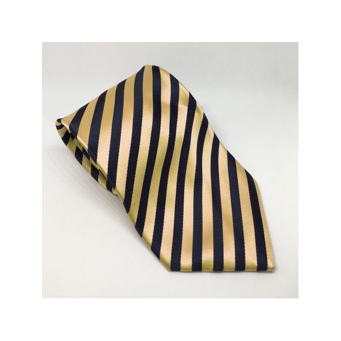 Equetech  Junior Broad Stripe Show Tie - Navy/Gold