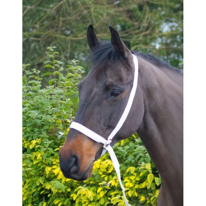 Equi-Sential  Adjustable Show Halter - White
