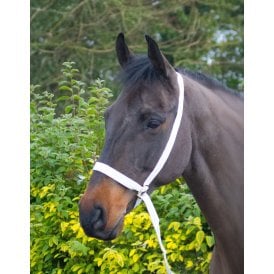 Equi-Sential Adjustable Show Halter - White