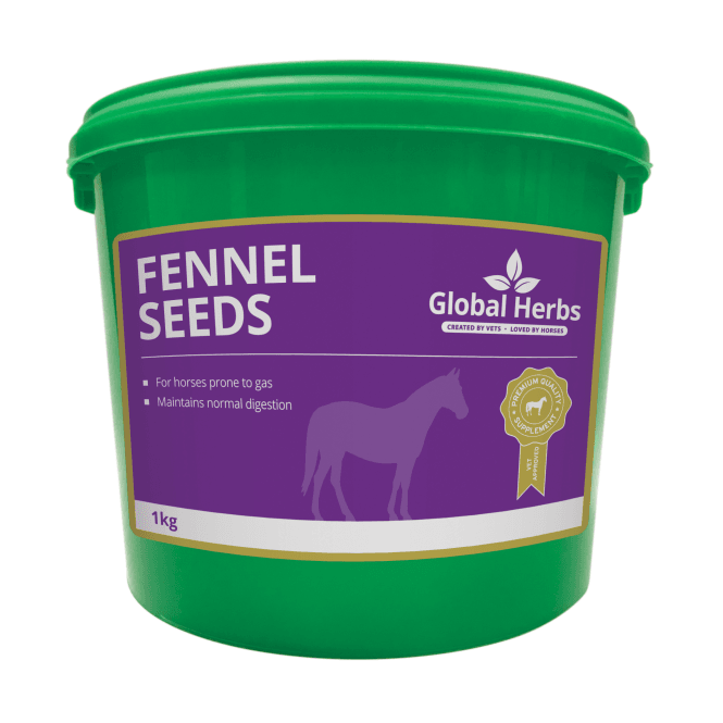 Global Herbs  - Fennel 1kg