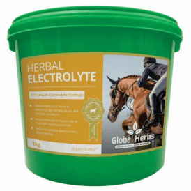 Global Herbs - Herbal Electrolyte 1kg