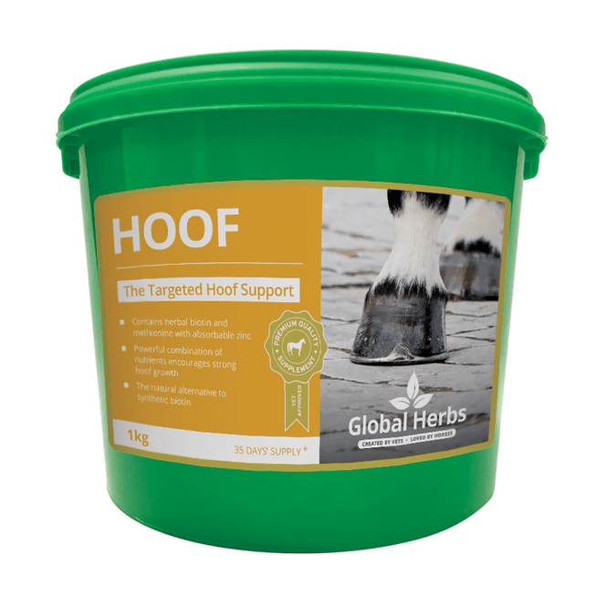 Global Herbs  - Hoof 1kg
