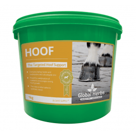 Global Herbs - Hoof 1kg