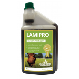 Global Herbs - LamiPro Supplement Liquid