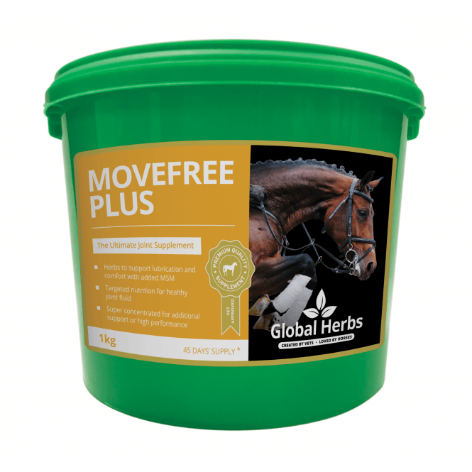 Global Herbs  - Movefree Plus