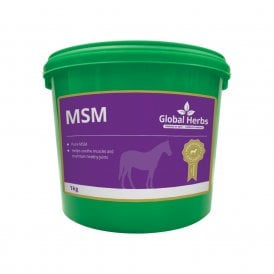 Global Herbs - MSM Pure 1kg