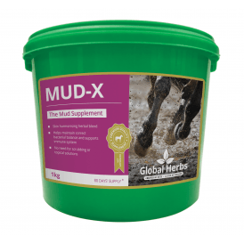 Global Herbs - Mud-X