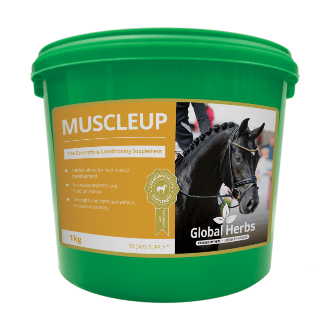 Global Herbs  - Muscle Up 1kg