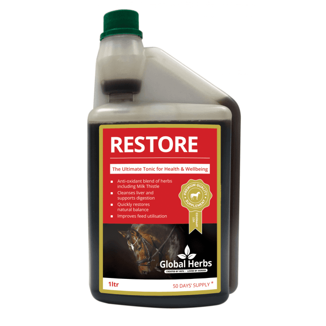 Global Herbs  - Restore Syrup