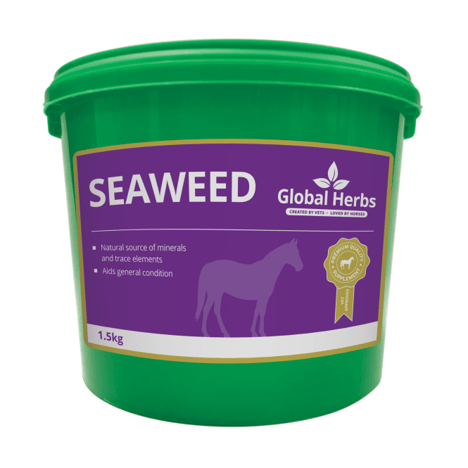 Global Herbs  - Seaweed 1.5kg