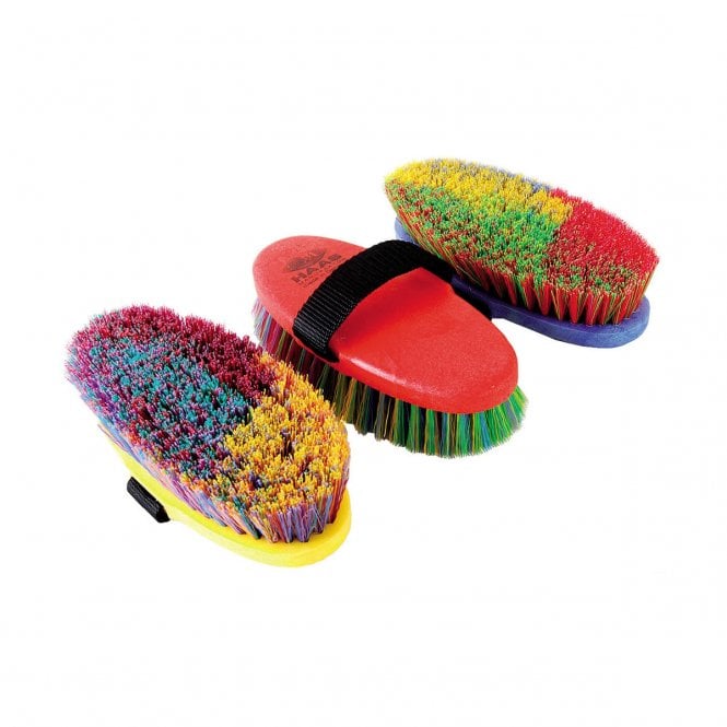 Haas  Ladies Brush - Multicoloured Bristles