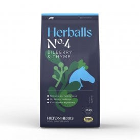 Hilton Herbs Herballs - Bilberry & Thyme
