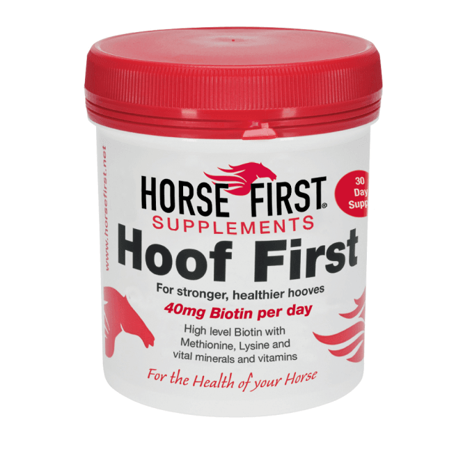Horse First  Hoof First