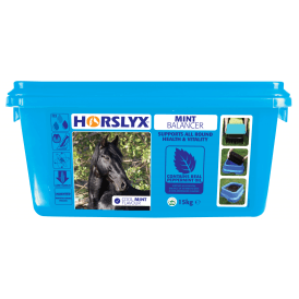 Horslyx 15kg Mint Balancer Stable/Paddock Horse Lick