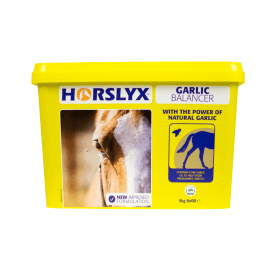 Horslyx 5kg Garlic Stable/Paddock Horse Lick