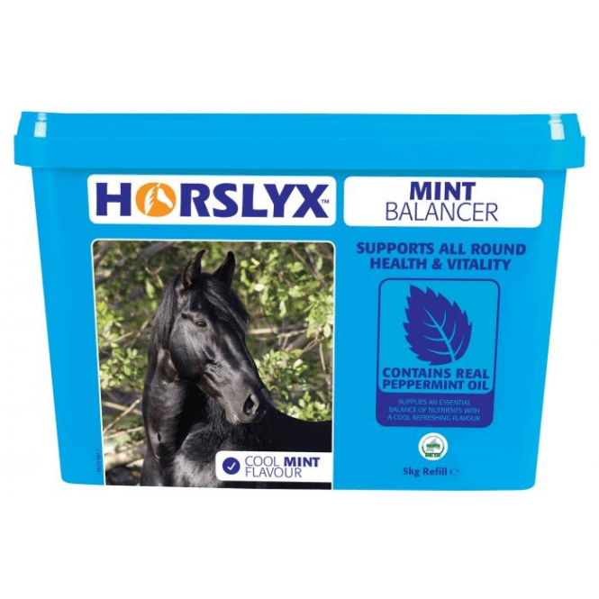 Horslyx  5kg Mint Balancer Stable/Paddock Horse Lick