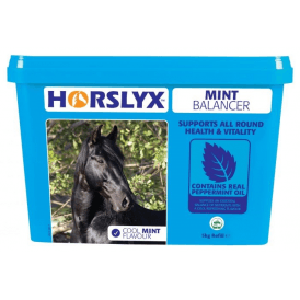 Horslyx 5kg Mint Balancer Stable/Paddock Horse Lick