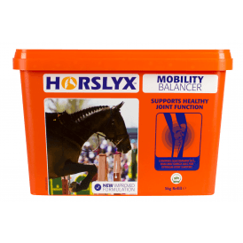 Horslyx 5kg Mobility Stable/Paddock Horse Lick