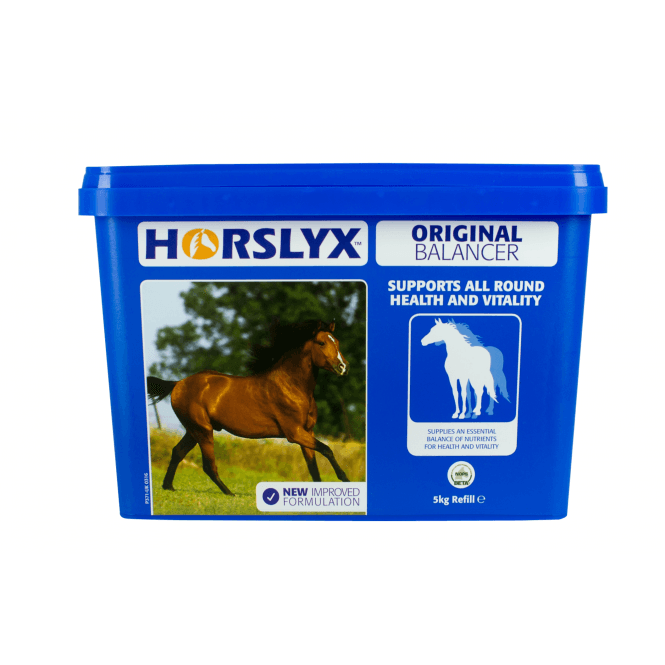 Horslyx  5kg Original Stable/Paddock Horse Lick