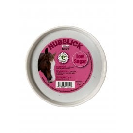Hubblick Hand Held 1kg Lick - Mint