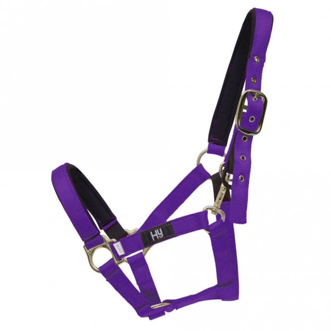 HY Equestrian  Fieldsafe Head Collar - Purple