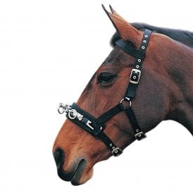 Hy Equestrian Lunge Cavesson - Black