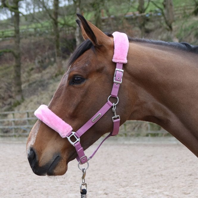 John Whitaker Whitaker HC170 Leyburn Headcollar & Lead Rope - Pink