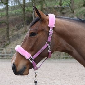 Whitaker HC170 Leyburn Headcollar & Lead Rope - Pink