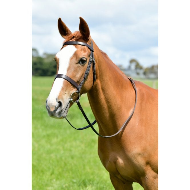 Kincade  Classic Flat Hunt Bridle With Reins