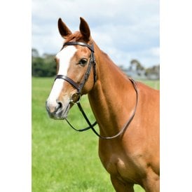 Kincade Classic Flat Hunt Bridle With Reins
