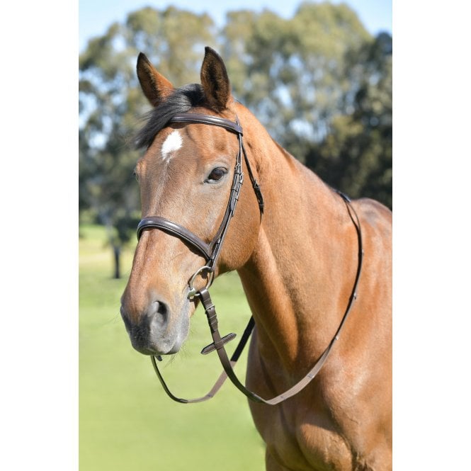Kincade  Classic Plain Raised Cavesson Bridle With Reins