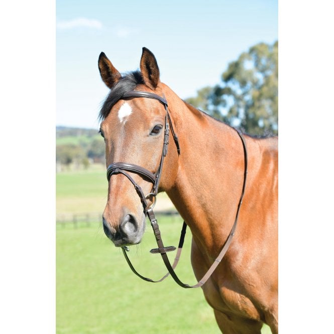 Kincade  Classic Plain Raised Flash Bridle With Reins
