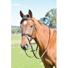 Kincade Classic Plain Raised Flash Bridle With Reins