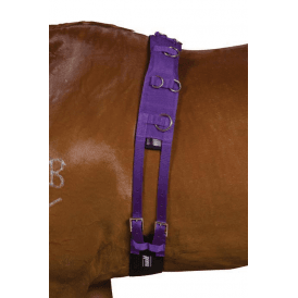 Kincade Deluxe Equigrip Pony Size Lunge Roller