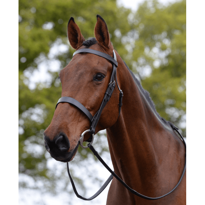 Kincade  Hunt Cavesson Bridle II - Black