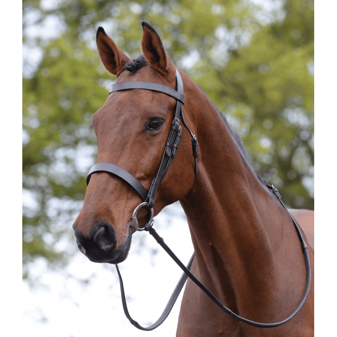 Kincade  Hunt Cavesson Bridle II - Brown