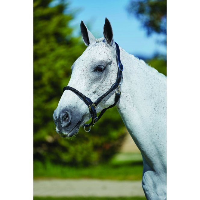 Kincade  Leather Rope Headcollar - Black