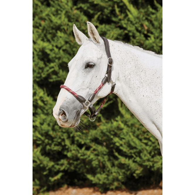 Kincade  Leather Rope Headcollar - Burgundy/Brown