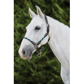 Kincade Leather Rope Headcollar - Hunter Green/Brown