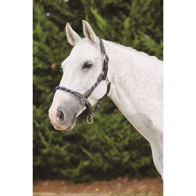 Kincade  Leather Rope Headcollar - Navy/Brown